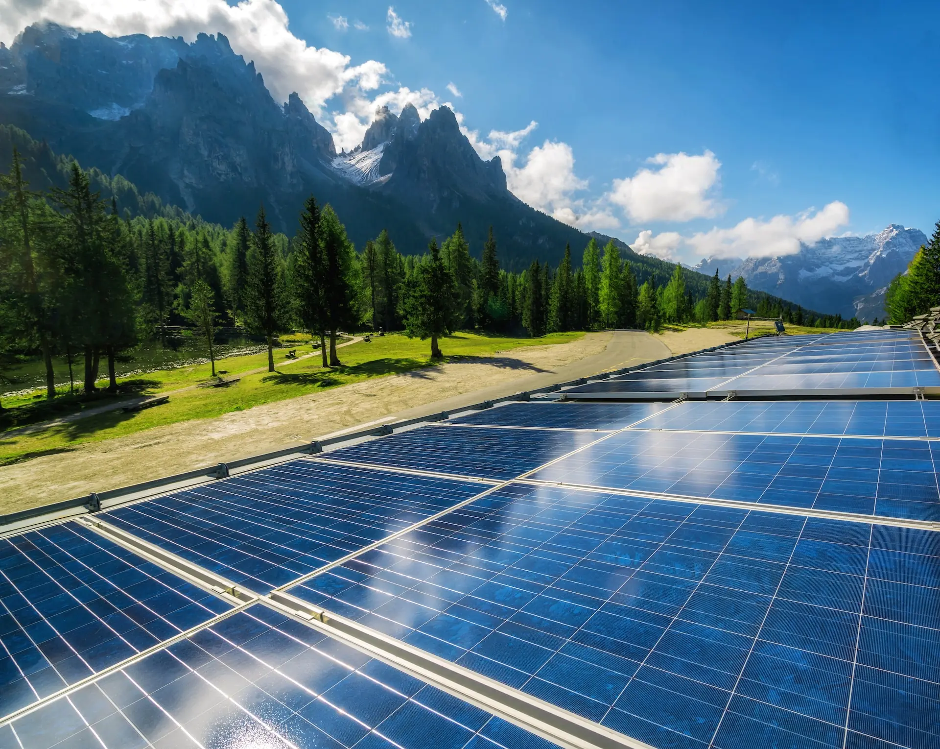 solar panel in nature